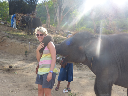 Elefant auf Phuket