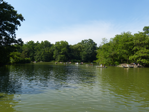 New York City Park