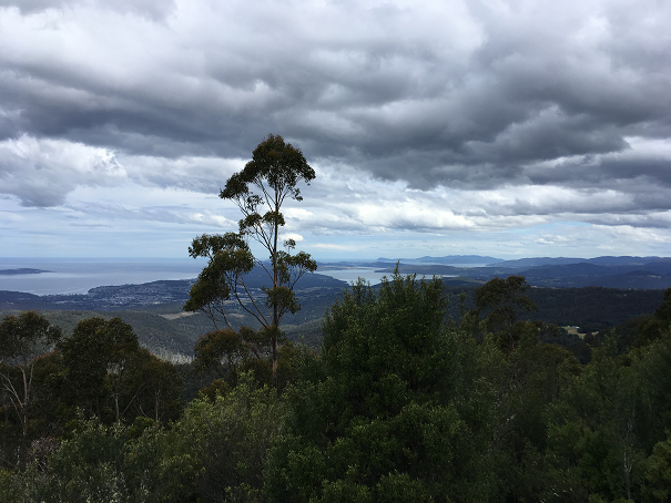 Mount Wellington