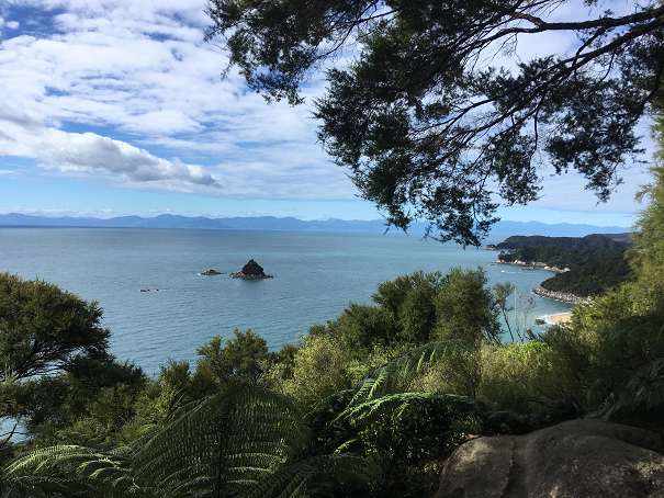 Abel Tasman