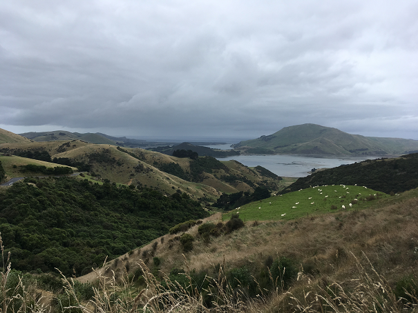 Otago Peninsula