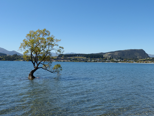 Wanaka