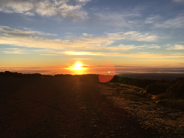 Mt Egmont Nationalpark