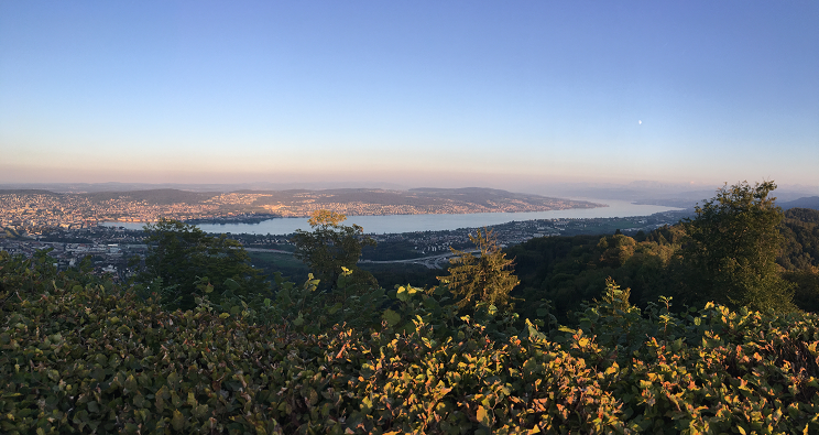 Zürichsee