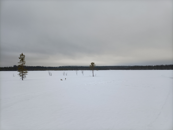 Lappland