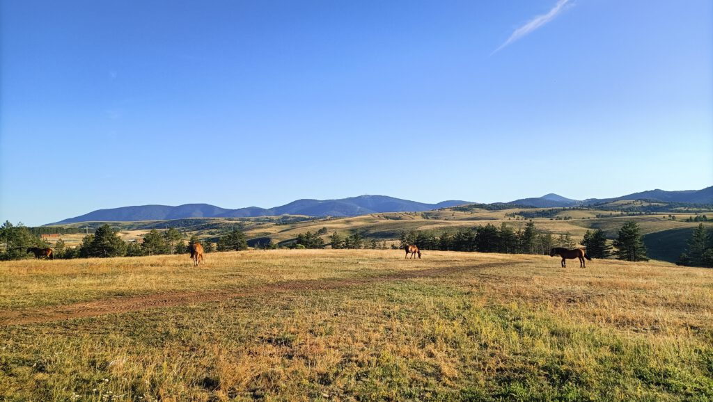 Zlatibor