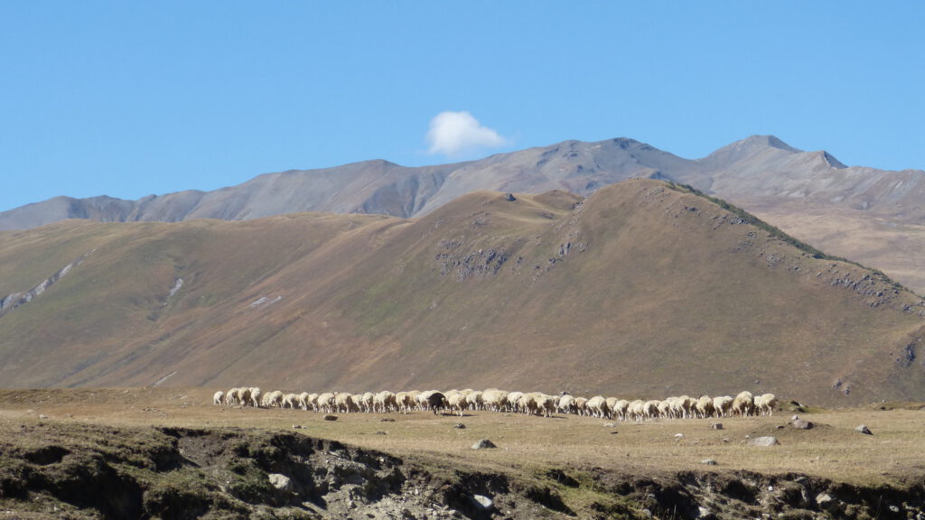 Truso Valley in Georgien