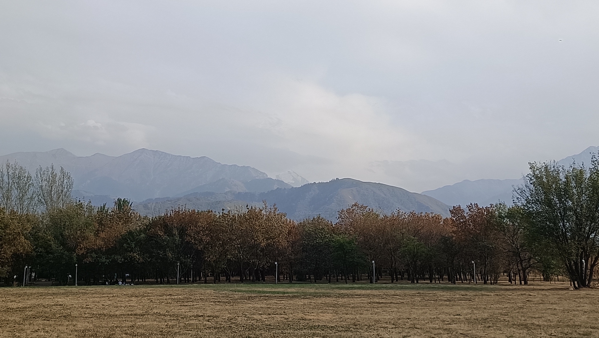 Blick zu den Bergen