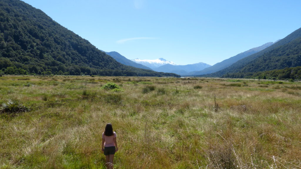 Haast Pass