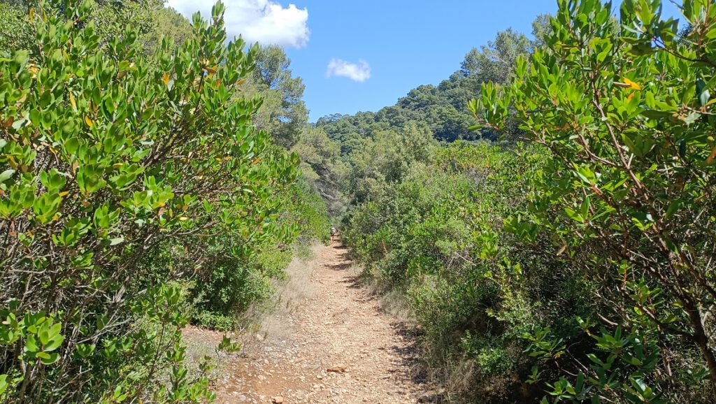 Wanderweg Insel in Kroatien